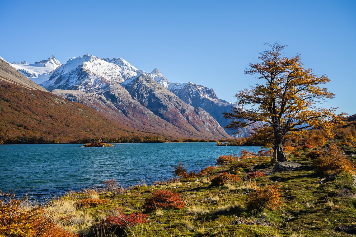 View of Laguna Madre in Los Glaciares, on an autumn day with vibrant colors.