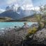 Trees on a beach along the Mirador Cuernos and Salto Grande Waterfall hike, on a sunny day, with views of the Cuernos in the background.