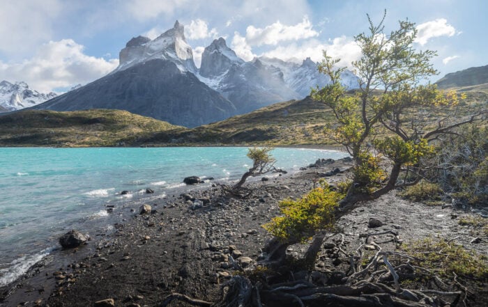 Trees on a beach along the Mirador Cuernos and Salto Grande Waterfall hike, on a sunny day, with views of the Cuernos in the background.