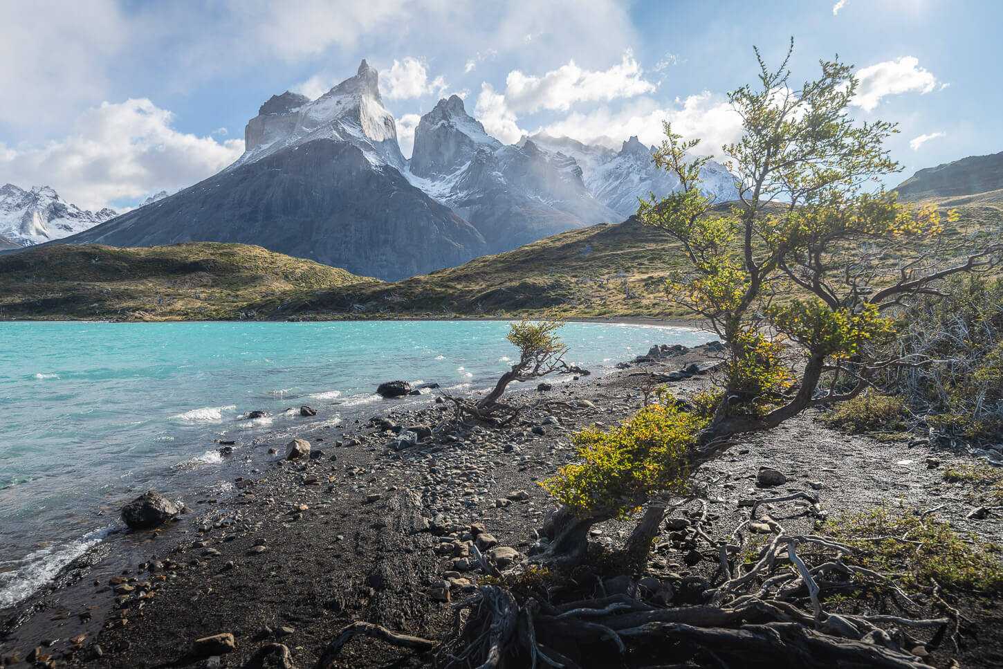 Trees on a beach along the Mirador Cuernos and Salto Grande Waterfall hike, on a sunny day, with views of the Cuernos in the background.