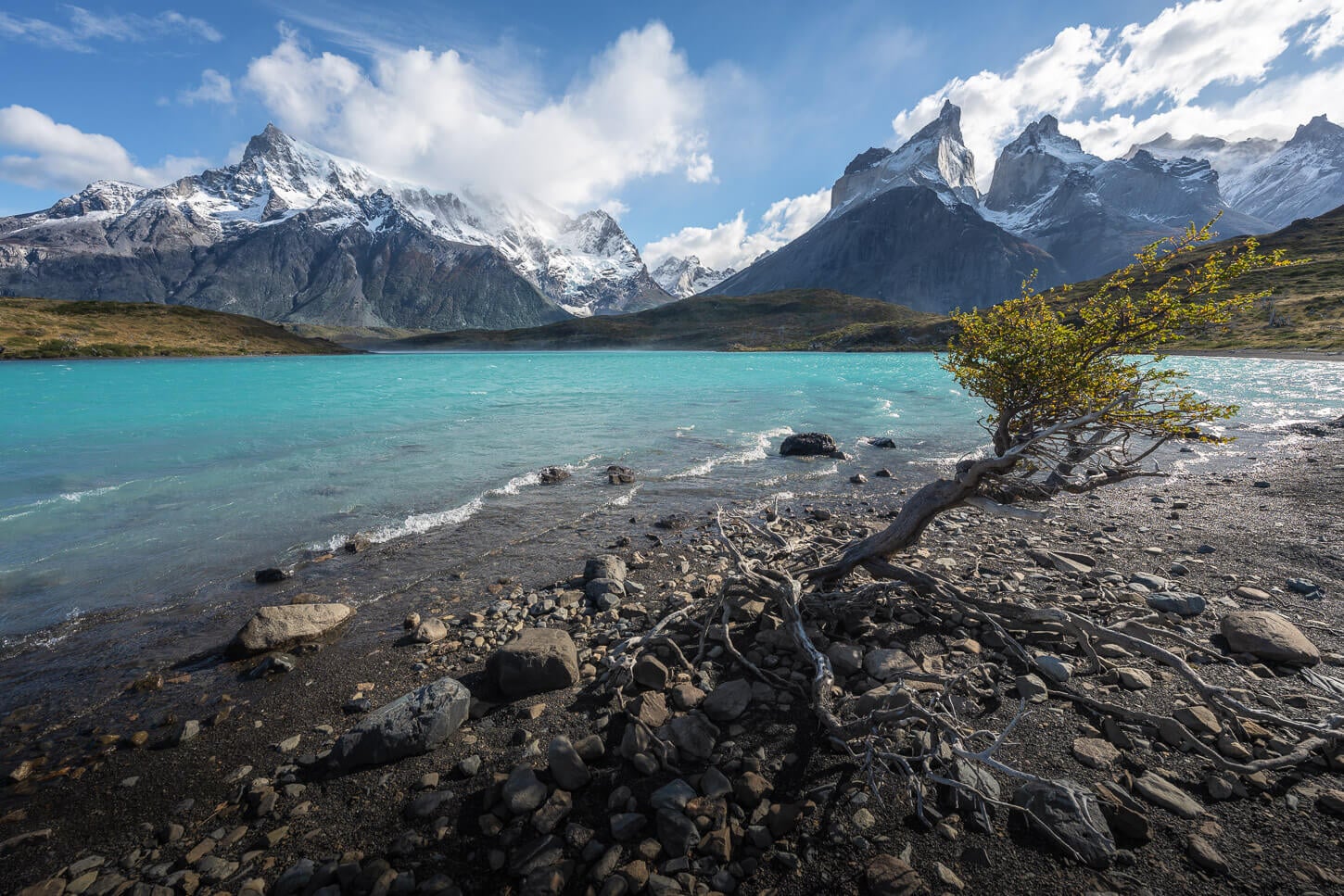 View of a scenic beach on the hike to mirador Cuernos, with a lenga tree growing on the beach right on the shoreline