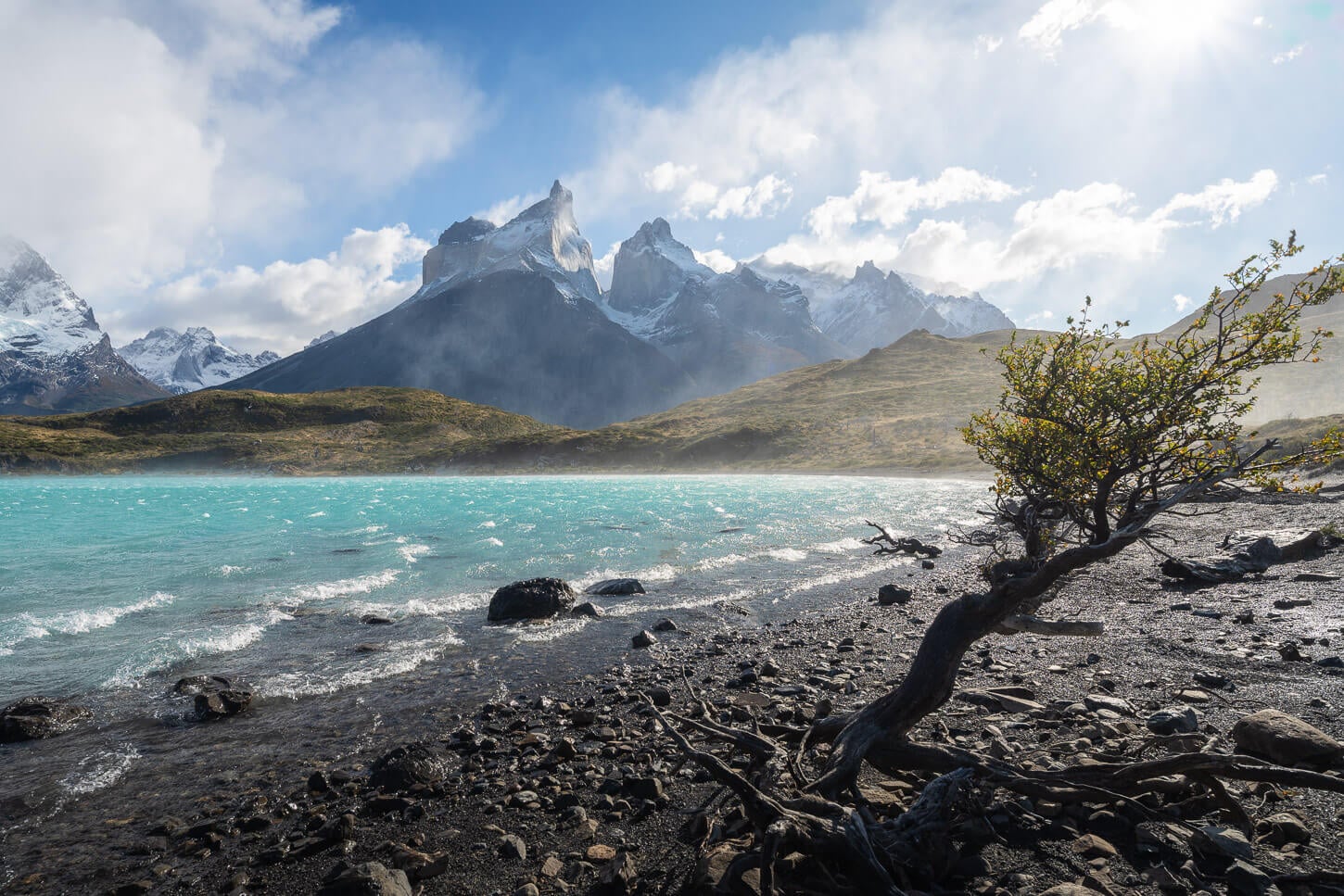 View of the Torres del Paine Cuernos from the lake shore, with a small lenga tree growing on the beach
