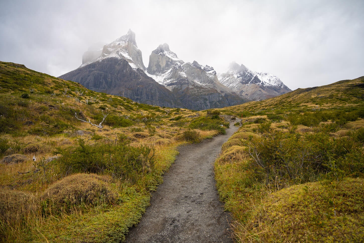 View of the Cuernos group in torres del paine under a dark, cloudy sky, with the Mirador Cuernos trail leading up toward the mountains 