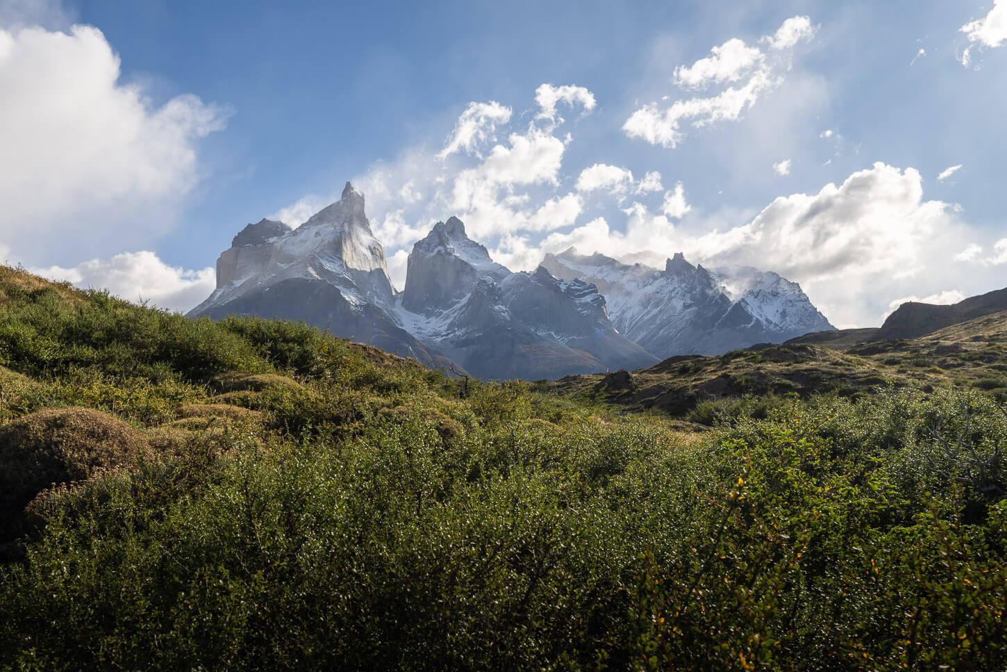 mountains tops peeking above bushes