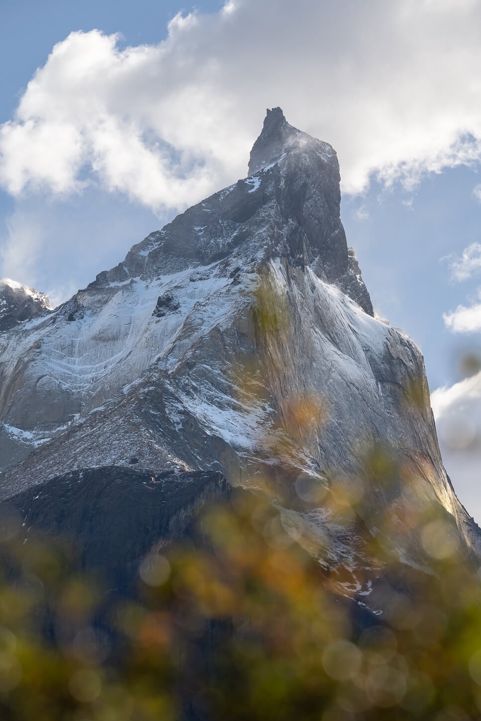 Cuernos del Paine partly covered in Snow, seen through some autumn foliage