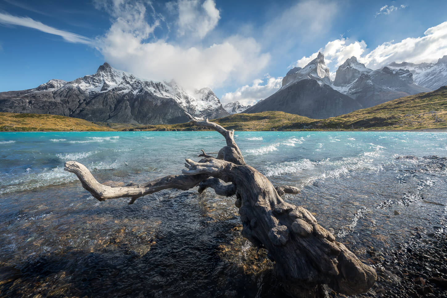 A dry branch of a tree lying on a black sand beach in Torres del Paine