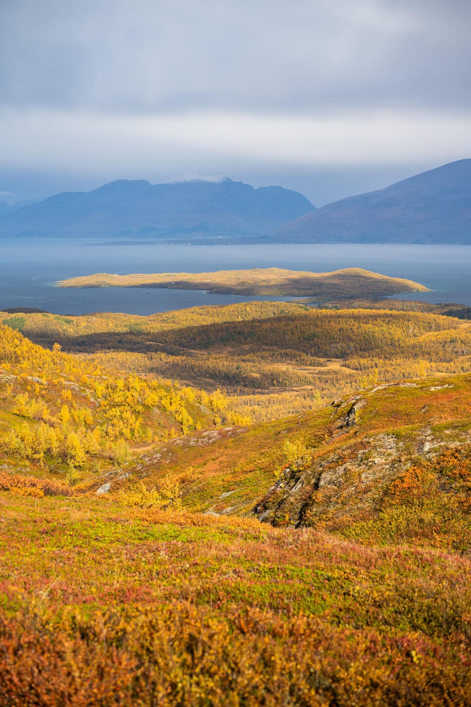 Fall colors in the Lyngen Alps in Early September, viewed from high above the sea.