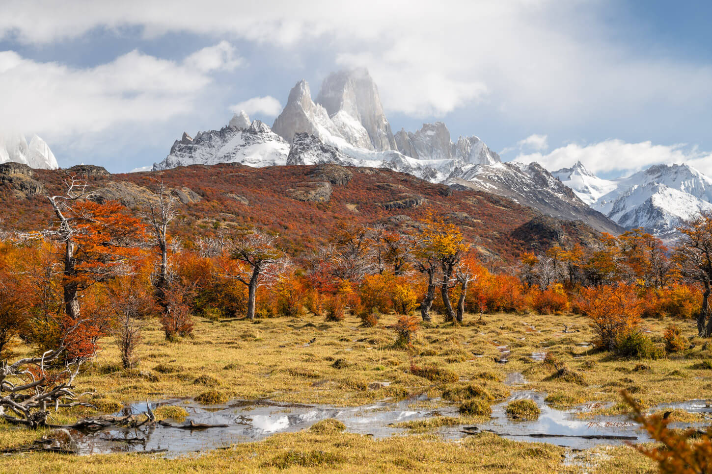Autumn colors in a landscape photo of Patagonia, featuring the vibrant red lenga trees and snow-covered mountains in the background.