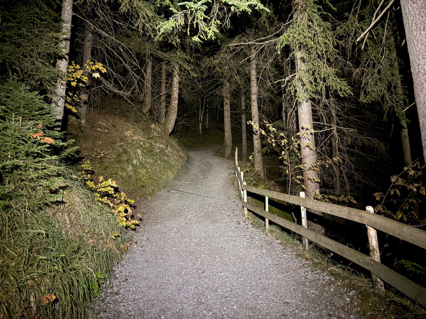 Hiking trail to Bachalpsee at night
