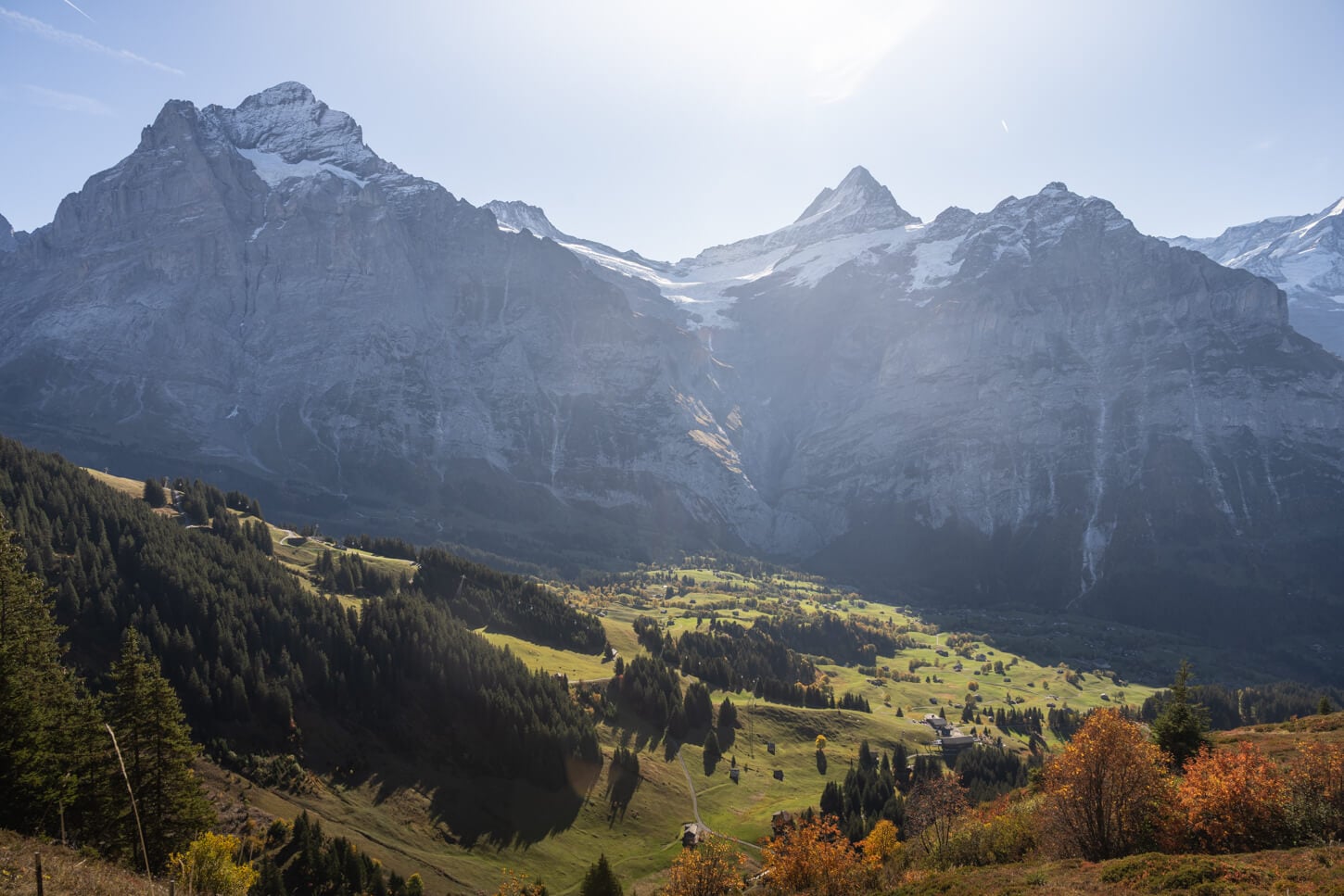 View of the North faces of the Schreckhorn and Wetterhorn on a sunny autumn day