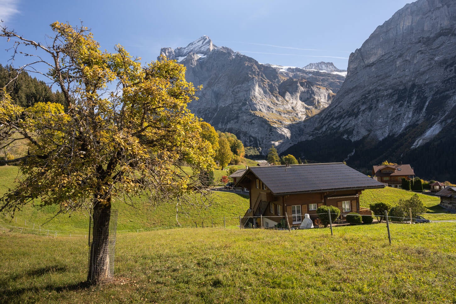 view of a small mountain hut near Grindelwald in an idyllic mountain landscape.