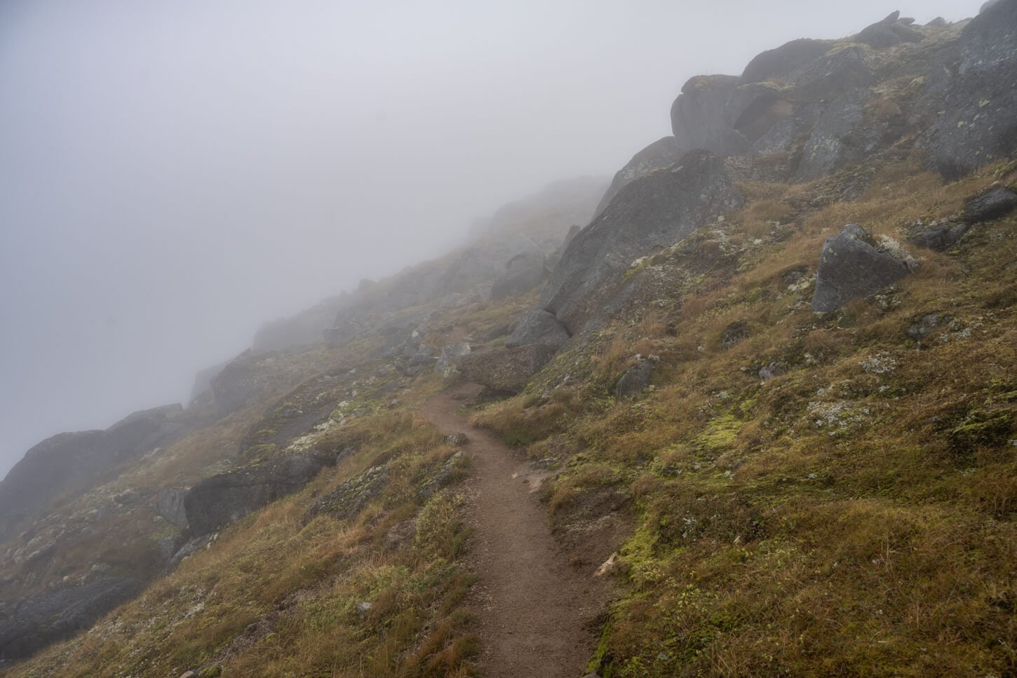 hiking trail in the fog in the Lofoten