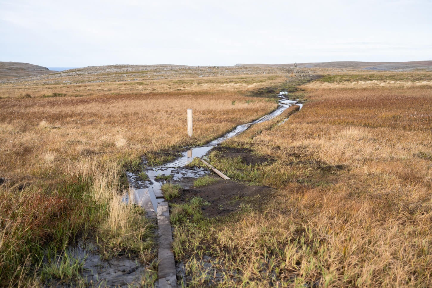 Boggy section of the Knivskjellodden hiking trail across the arctic tundra
