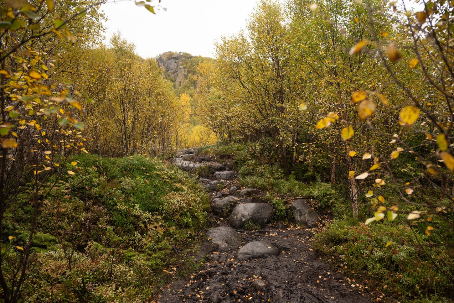 middi section of the trail at the trailhad of the Delpen-Matmora Hiking trail