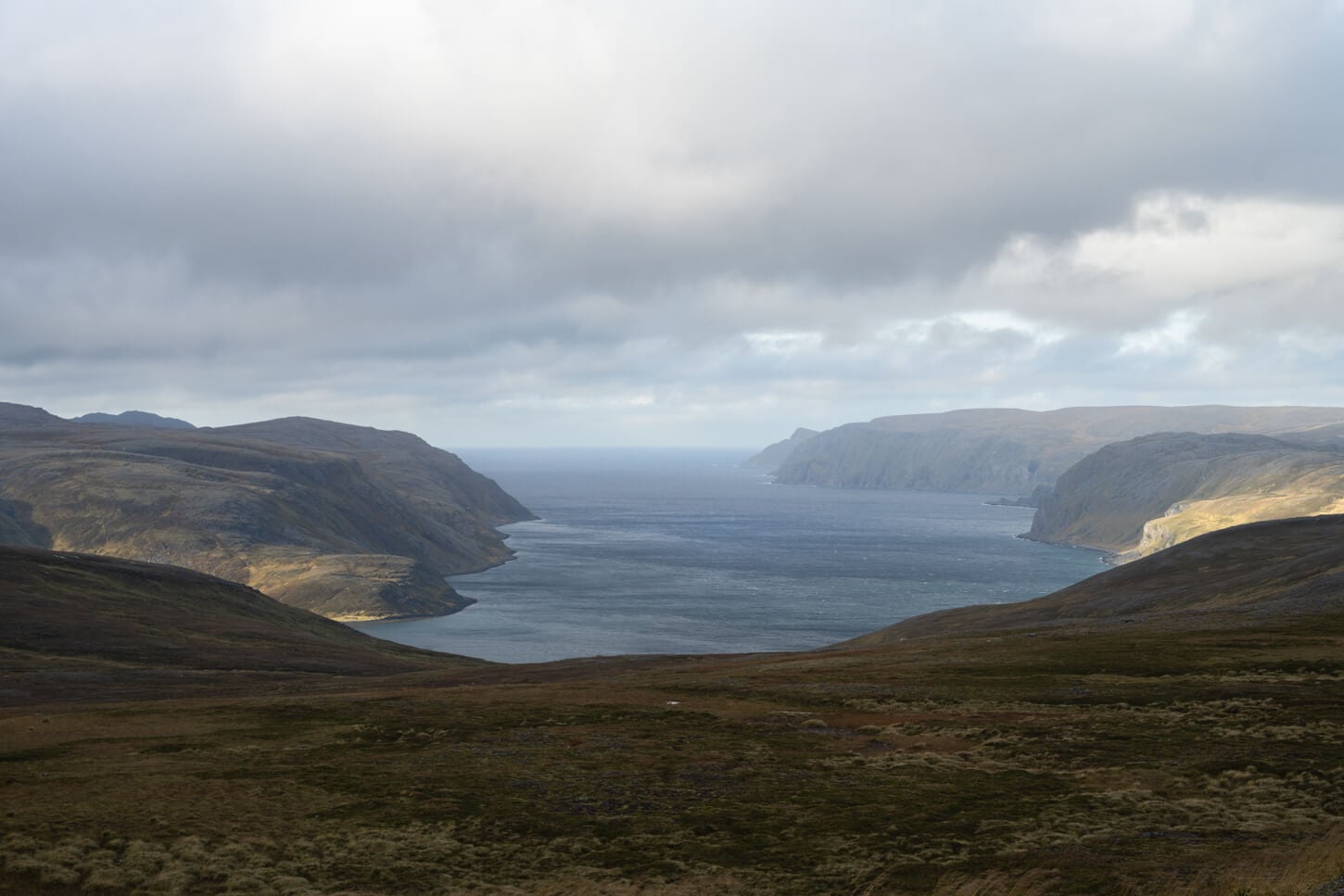 View of a fjord in arctic norway