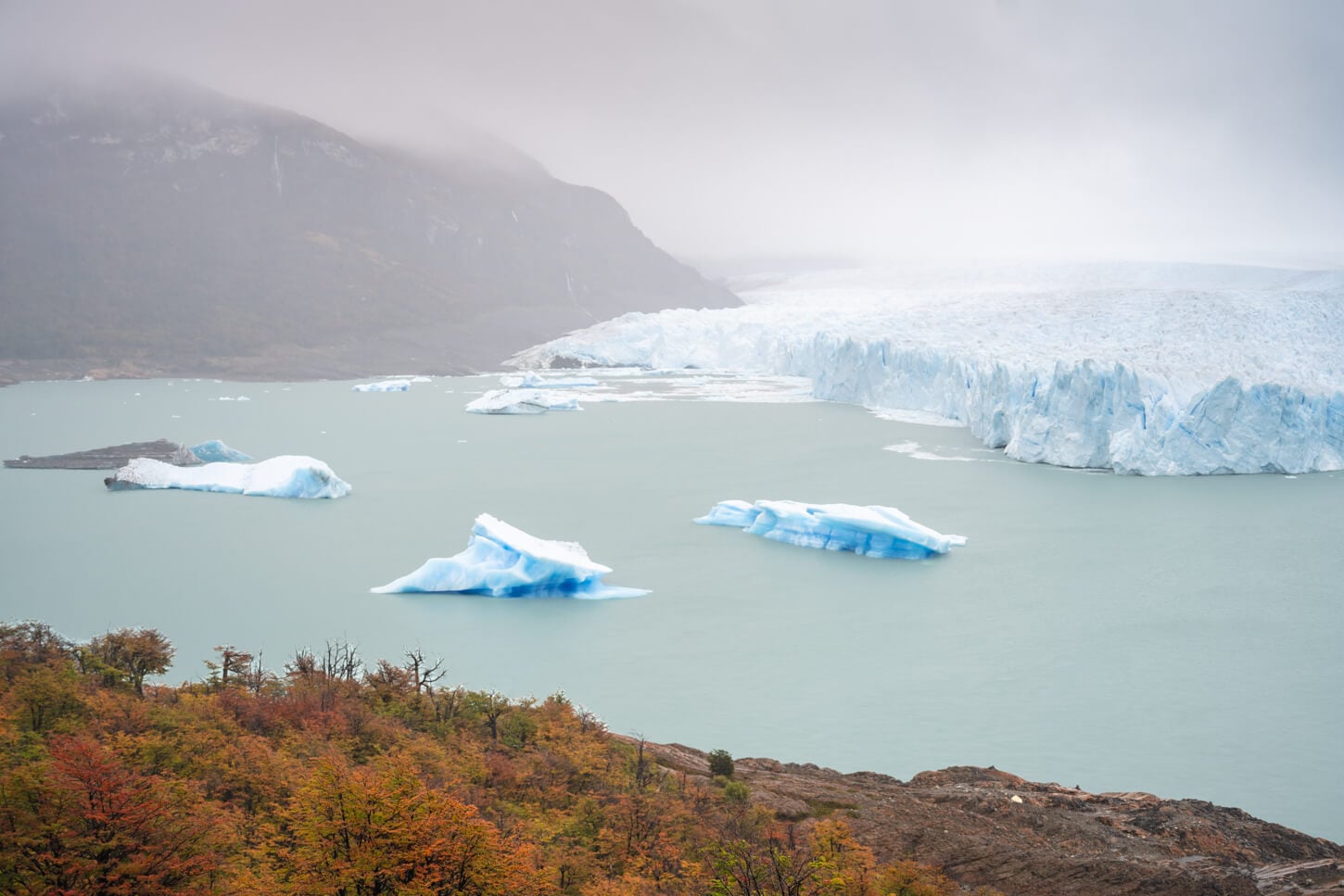 Icebergs floating in a lake next to the glacier's front.