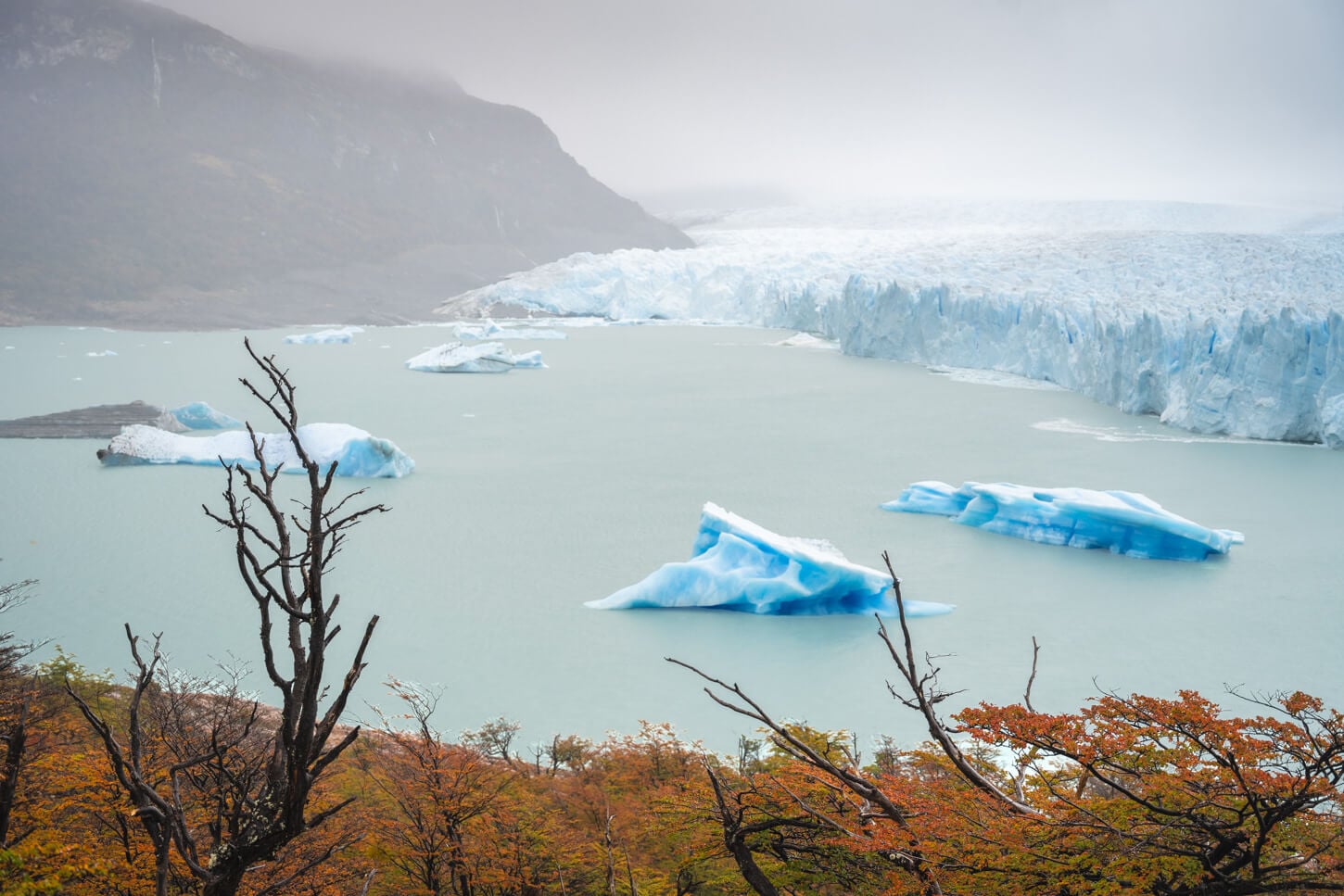 view of Perito Moreno from the "Balcon Inferior" path, with icebergs floating around it.