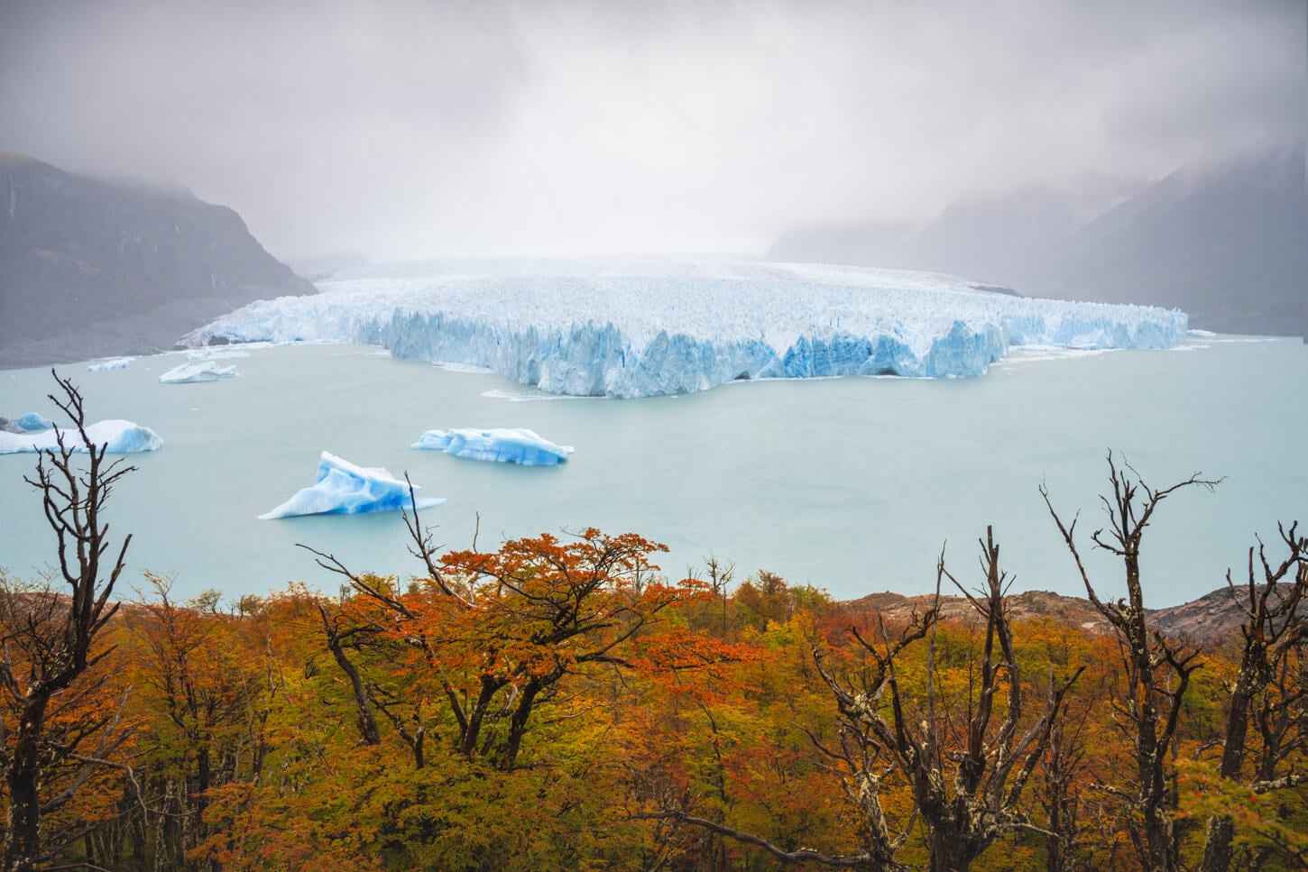 View of Perito Moreno in Autumn with a few large icebergs floating around it, under a dark sky