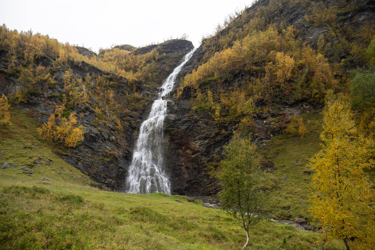Rottenvikfossen lower step in front of a meadow