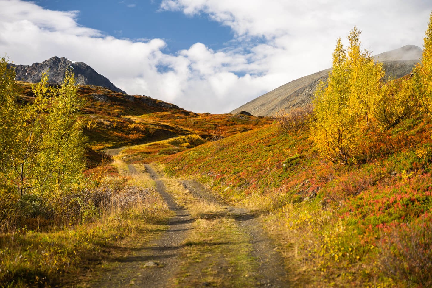 Upper part of the road leading to Rottenvikvatnet.