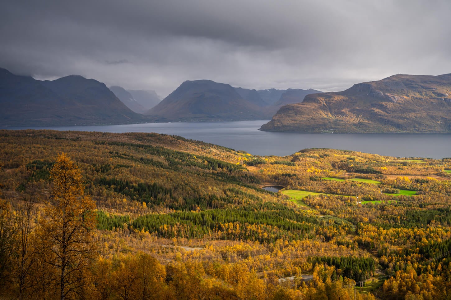 View of the Lyngenfjord and mountains around it in autumn, with golden sidelight flooding the landscape from the right.